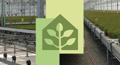 Aldershot Greenhouses